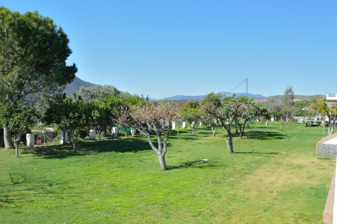 Hotel Taray Botanico Orgiva Exterior photo